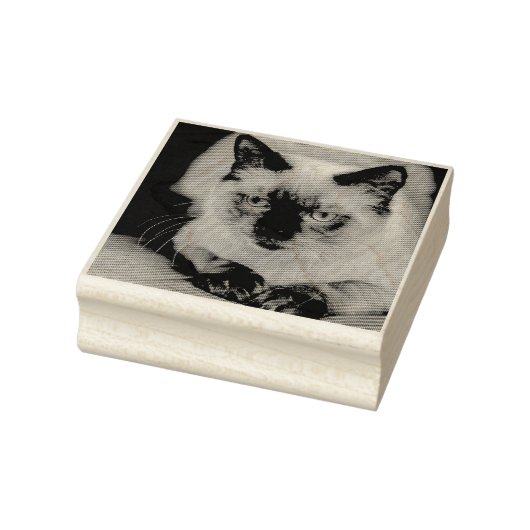 Aangepaste kat huisdier foto 	rubberstempel (Stempel)