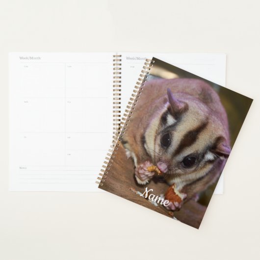 Aangepaste kattensuikerbietenvoeding planner (Display)