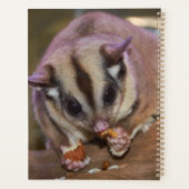 Aangepaste kattensuikerbietenvoeding  planner (Achterkant)