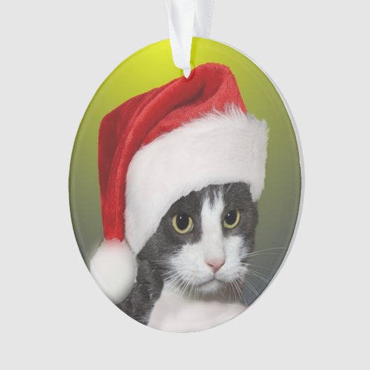 Aangepaste kerst Carol Tuxedo kat foto Ornament (voorkant)