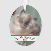 Aangepaste Kerst vakantie huisdier foto's Ornament (voorkant)