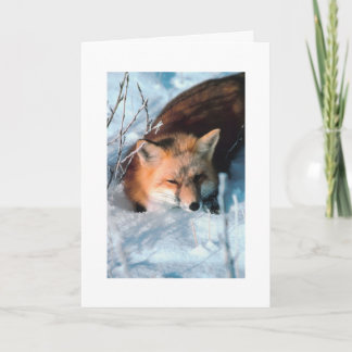 Aangepaste kerstcadeaukaart voor sneeuwfox-feestda feestdagen kaart