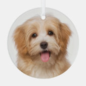 Aangepaste kerstfeestdag met foto's glas ornament (Achterkant)