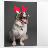 Aangepaste  kerstfoto drieluik kaart (Binnenzijde eerst)