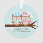 Aangepaste Kerstmis voor Owl Couple Ornament (voorkant)