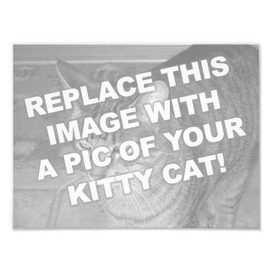 Aangepaste Kitty Kat Foto Afdruk (Voorkant)