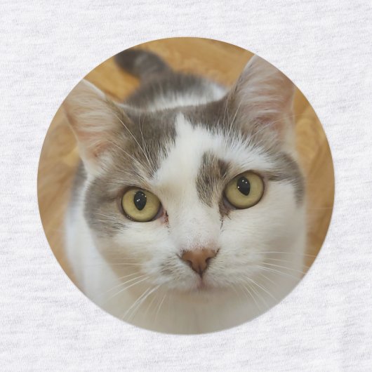 Aangepaste kleding voor fotoweefsel labels (Design 1)