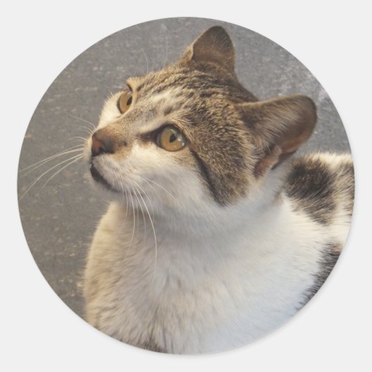 Aangepaste kleefstickers ronde sticker (Voorkant)