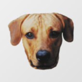 Aangepaste koeling voor aangepaste koepelvensters raamsticker (Vel)