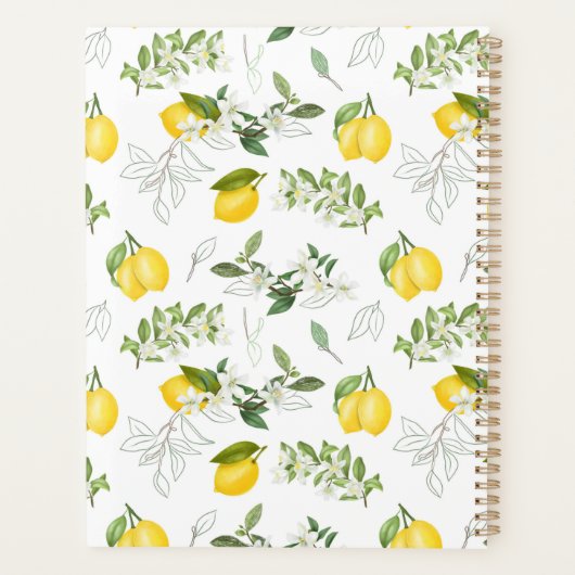 Aangepaste lemon- en ventilatorpaner planner (Achterkant)
