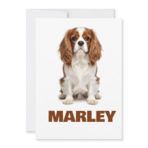 Aangepaste liefde Hond Liefhebber Naam