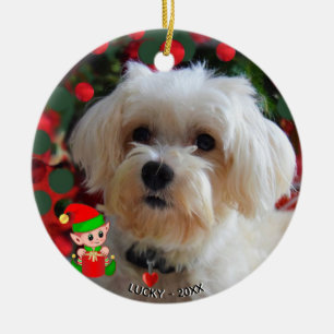 Aangepaste Maltese Dog-foto met Cute Elf Keramisch Ornament