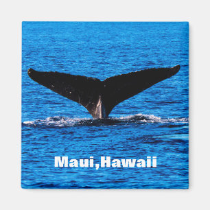 Aangepaste Maui Bultrug Walvis staartmagneet Magneet