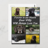 Aangepaste moderne huisdierherdenking 6 foto colla briefkaart (Voorkant / Achterkant)