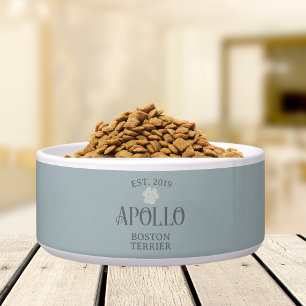 Aangepaste moderne scripttypografie Pet Name Voerbakje