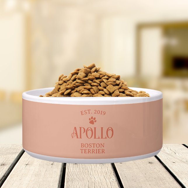 Aangepaste moderne  scripttypografie Pet Name Voerbakje (Customize this fun, custom dog bowl with your pet's name! )