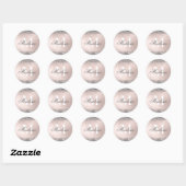 Aangepaste monogram naam Silver Glitter Blush Pink Ronde Sticker (Vel)