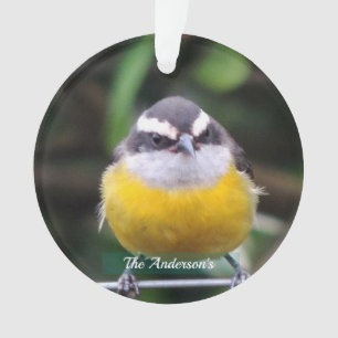 Aangepaste Mooie Gele Borst Vogel Foto Gepersonali Ornament