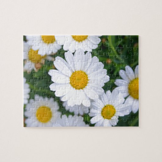 Aangepaste mooie lentevloeren - Daisy Legpuzzel (Horizontaal)