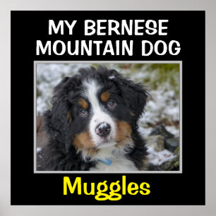 Aangepaste muur-kunst poster