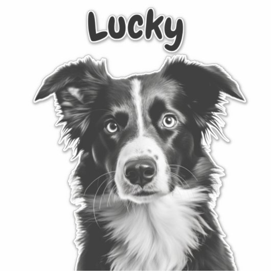 Aangepaste naam border collie sticker (Voorkant)