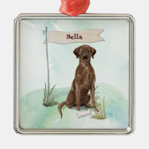 Aangepaste naam Chocolate Lab Pet Dog Metalen Ornament