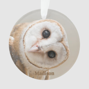 Aangepaste naam Cute Barn Owl Ornament