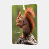 Aangepaste naam Eekhoorn Metalen Ornament (Voorkant links)