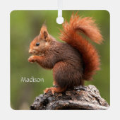 Aangepaste naam Eekhoorn Metalen Ornament (Voorkant)