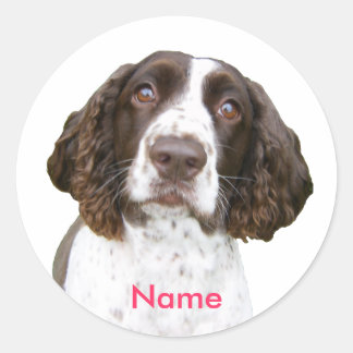 Aangepaste naam Engelse Springer Spaniel Stickers