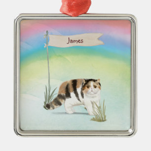 Aangepaste naam Exotic Short Hair Cat Pet Metalen Ornament