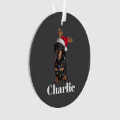 Aangepaste naam Kerstmis Dachshund Honden Verlicht Ornament (voorkant)