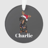 Aangepaste naam Kerstmis Dachshund Honden Verlicht Ornament (voorkant)