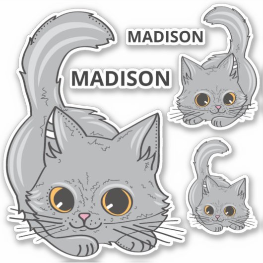Aangepaste naam Kittens stickers (Voorkant)