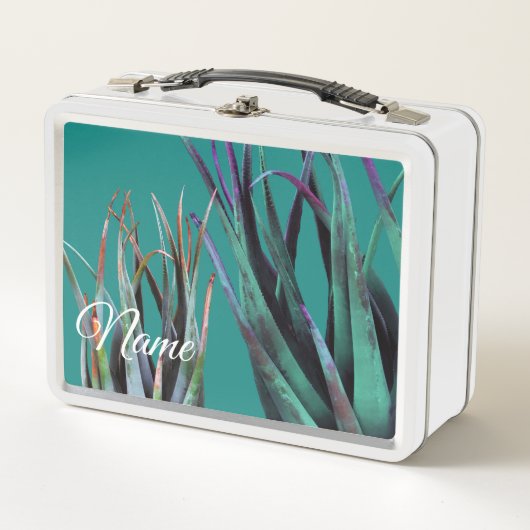 Aangepaste naam Lunchbox Aloe Plant (Voorkant)