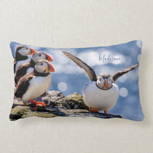Aangepaste naam: Puffin gooit kussens