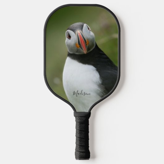 Aangepaste naam Puffin Pickleball Paddle (Voorkant)