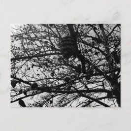 Aangepaste Natuur Briefkaart Wildlife Foto