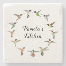 Aangepaste Noord-Amerikaanse mensvogels