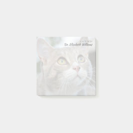 Aangepaste notitie van dierenarts met vervaagde ka post-it® notes
