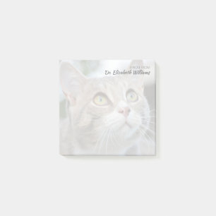 Aangepaste notitie van dierenarts met vervaagde ka post-it® notes