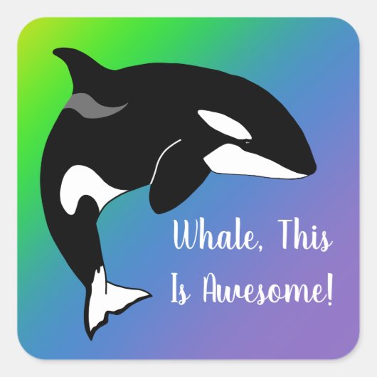 Aangepaste Orca Killer Whale Vierkante Sticker (Voorkant)