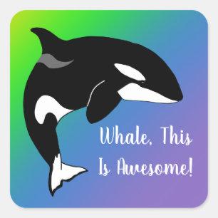 Aangepaste Orca Killer Whale Vierkante Sticker