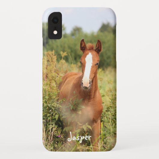 Aangepaste paardenfoto Case-Mate iPhone case (Achterkant)