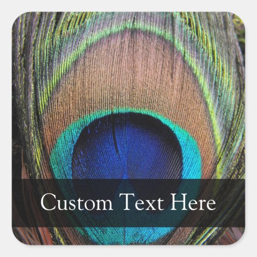 Aangepaste Peacock-doether Vierkante Sticker (Voorkant)