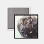 Aangepaste persoonlijke foto-cadeau magneet (Voorkant / Achterkant)