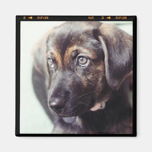 Aangepaste persoonlijke foto-cadeau magneet (Voorkant)