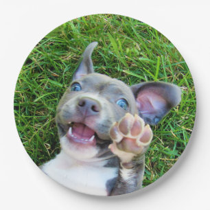 Aangepaste persoonlijke foto-uppy Dog Birthday Par Papieren Bordje