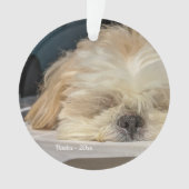 Aangepaste Pet Dog Puppy Ornament (voorkant)