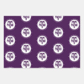 Aangepaste PharmD Doctor in de Afstuderen van de F Inpakpapier Vel (Voorkant 3)